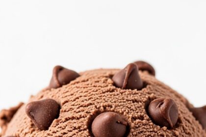 Chocolate Ice Cream With Chocolate Chips