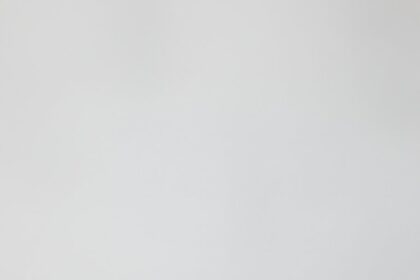 Coffee Ice Cream Cake With Oreo Crust