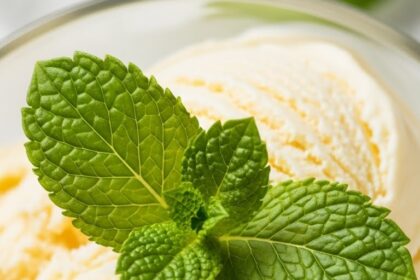Banana Ice Cream With Mint Garnish