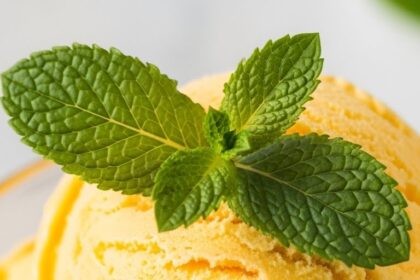 Mango Ice Cream With Mint Garnish