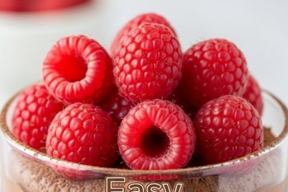 Easy Chocolate Mousse With Raspberries