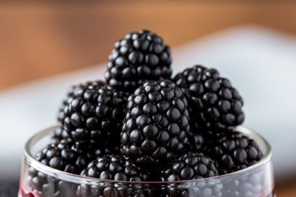 Panna Cotta With Blackberries
