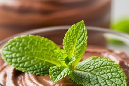Chocolate Mousse Dessert With Mint Garnish