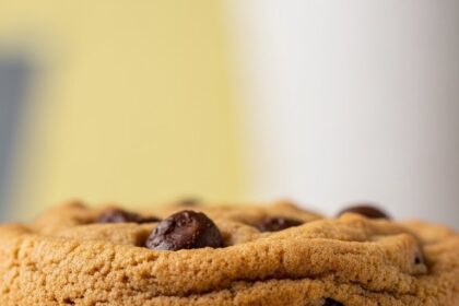 Ice Cream Sandwich With Whipped Cream