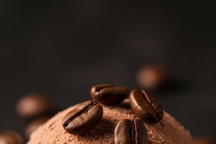 Chocolate Ice Cream With Coffee Beans
