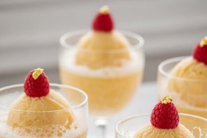 Champagne Sorbet Recipe With Champagne
