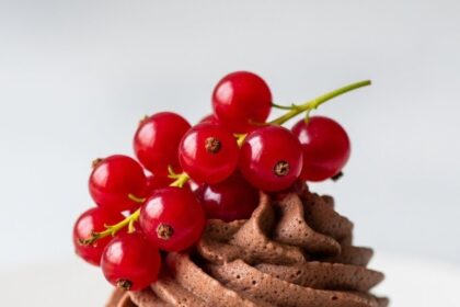 Chocolate Mousse With Red Currants
