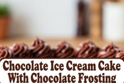 Chocolate Ice Cream Cake With Chocolate Frosting