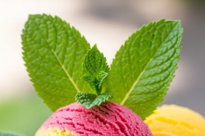 Fruit Sorbet With Fresh Mint