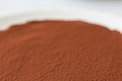 Chocolate Mousse Cake With Cocoa Topping