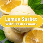 Lemon Sorbet With Fresh Lemons
