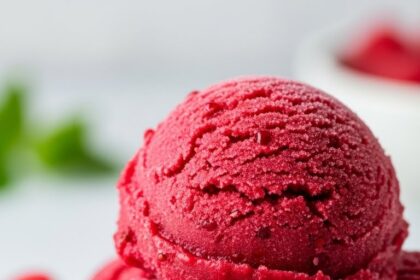 Raspberry Sorbet Recipe With Fresh Raspberries