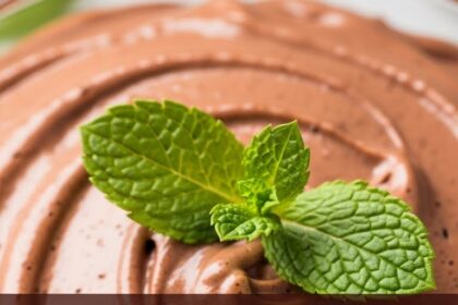 Chocolate Mousse Dessert With Mint
