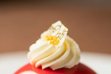 Chocolate Dome With Raspberry Mousse