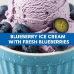 Blueberry Ice Cream With Fresh Blueberries