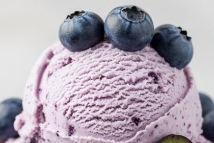 Blueberry Ice Cream With Fresh Blueberries