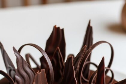 Chocolate Mousse Cake With Chocolate Decoration