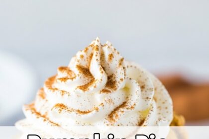 Pumpkin Pie Ice Cream Recipe With Cool Whip