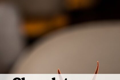 Chocolate Dessert With Sorbet