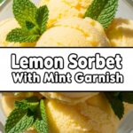 Lemon Sorbet With Mint Garnish