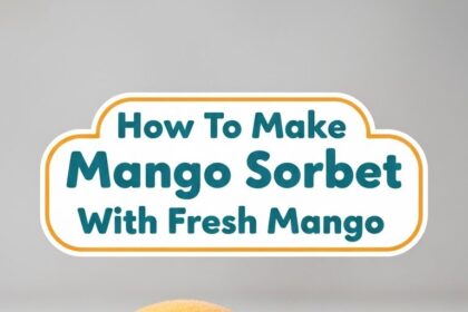 How To Make Mango Sorbet With Fresh Mango