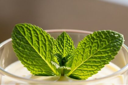 Glass Of Vanilla Pudding With Mint