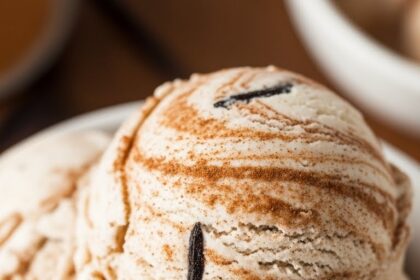 Cinnamon Ice Cream Recipe With Vanilla Extract