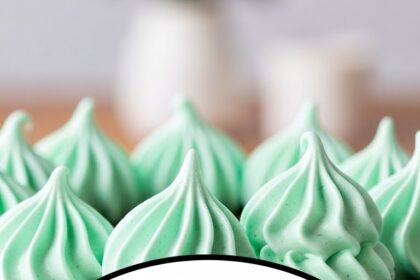 Chocolate Ice Cream Cake With Mint Meringue