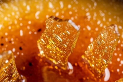 Creme Brulee Dessert With Caramelized Top