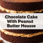 Chocolate Cake With Peanut Butter Mousse