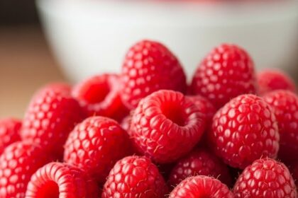 Chocolate Mousse Cake With Raspberries
