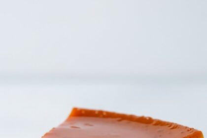 Slice Of Flan With Caramel Topping