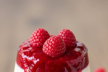 Panna Cotta With Raspberry Sauce