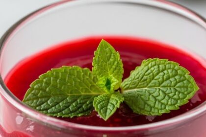 Raspberry Panna Cotta With Mint
