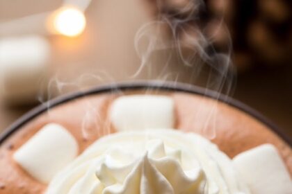 Hot Chocolate With Cream And Marshmallows