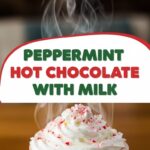 Peppermint Hot Chocolate With Milk