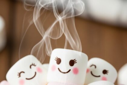 Cute Hot Chocolate With Marshmallows