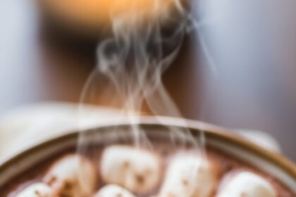 Hot Chocolate With Marshmallows And Cinnamon