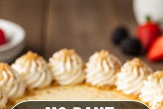 No Bake Cheesecake With Whipping Cream