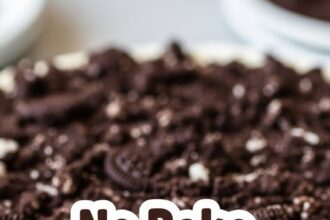 No Bake Cheesecake With Oreo Crust