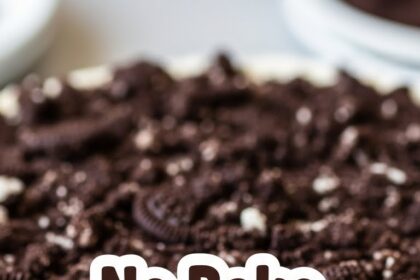 No Bake Cheesecake With Oreo Crust