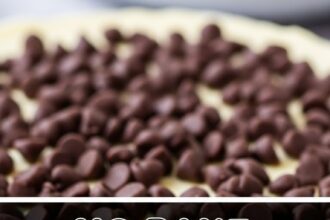 No Bake Cheesecake With Chocolate Chips