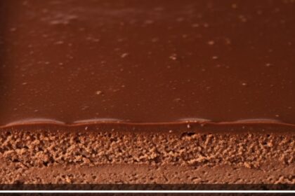 No-Bake Cheesecake With Chocolate Base