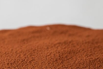 Tiramisu Cake With Ladyfingers