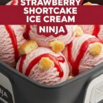 Strawberry Shortcake Ice Cream Ninja