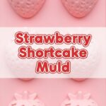 Strawberry Shortcake Mold