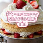Strawberry Shortcake Tin
