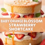 Baby Orange Blossom Strawberry Shortcake