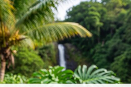 Road To Hana Banana Bread Recipe