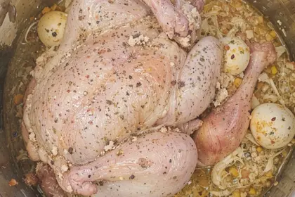 Instant Pot Whole Chicken Recipes Easy